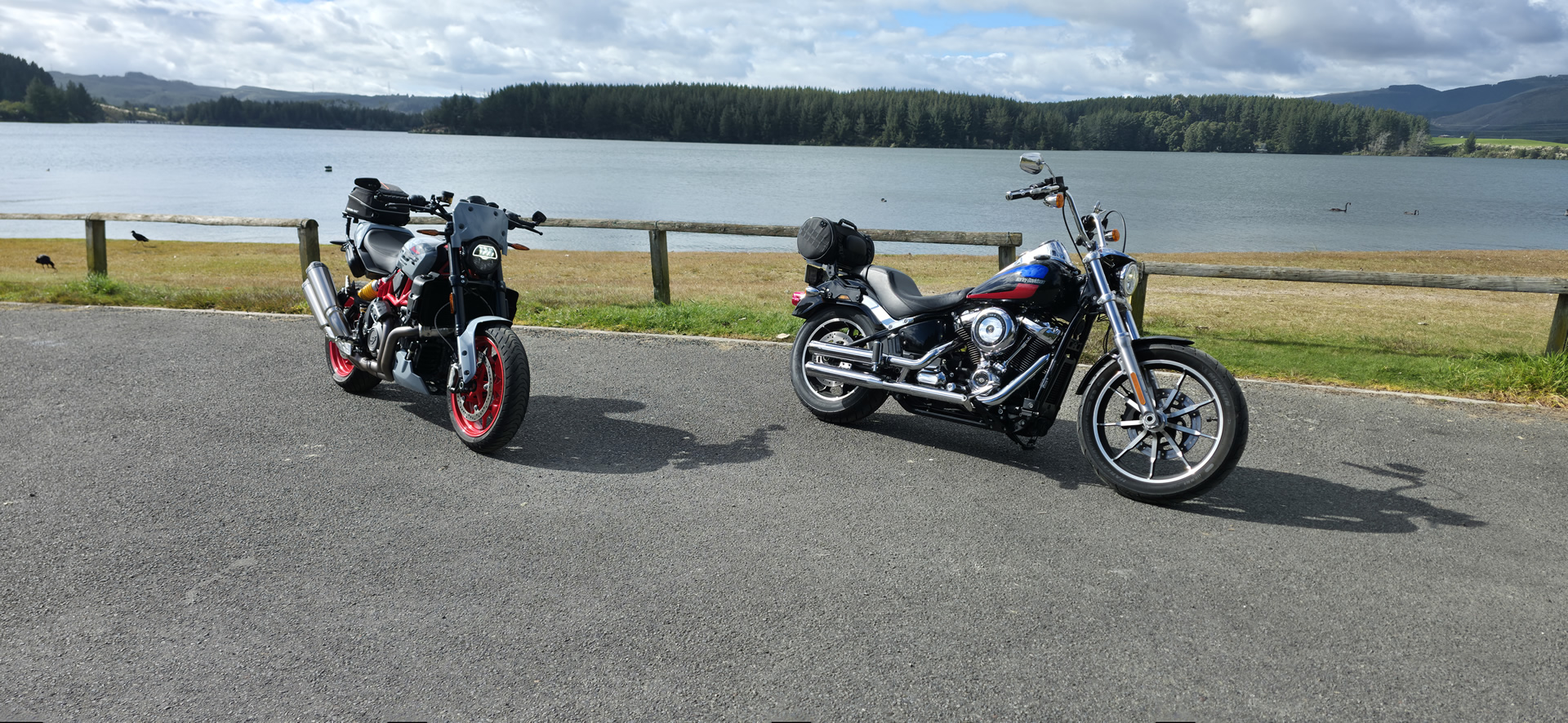 Virgin Pillion